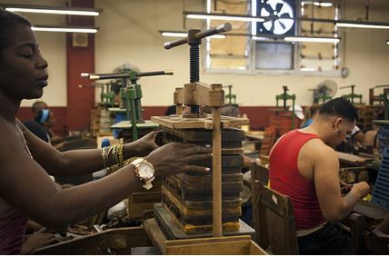 A woman puting cigars in molds into a cigar press in a cigar factory.