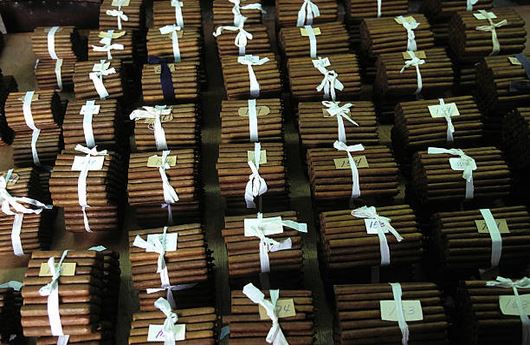 Cigars in bundles in a cigar factory.